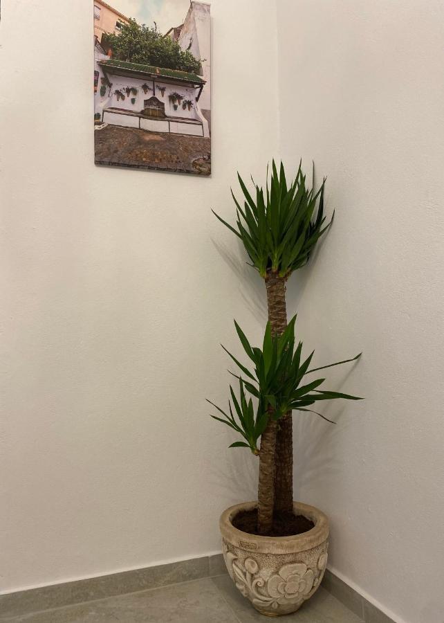 Suites Benalup Centro Dış mekan fotoğraf